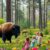 Białowieża dla dzieci: najlepsze atrakcje i pomysły na rodzinną przygodę w sercu puszczy